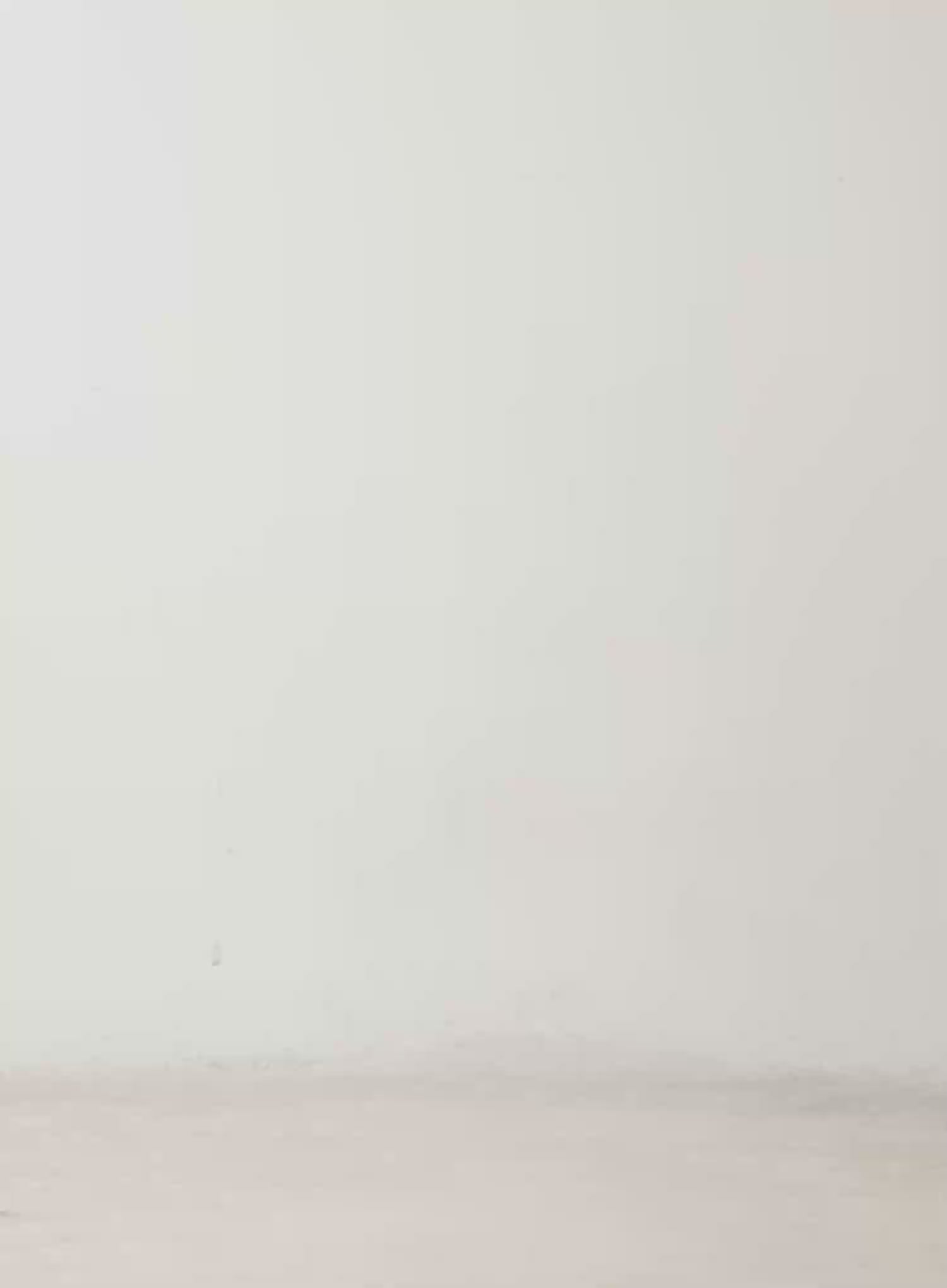 Jin Vintage Wash Wide Leg Jeans CD517