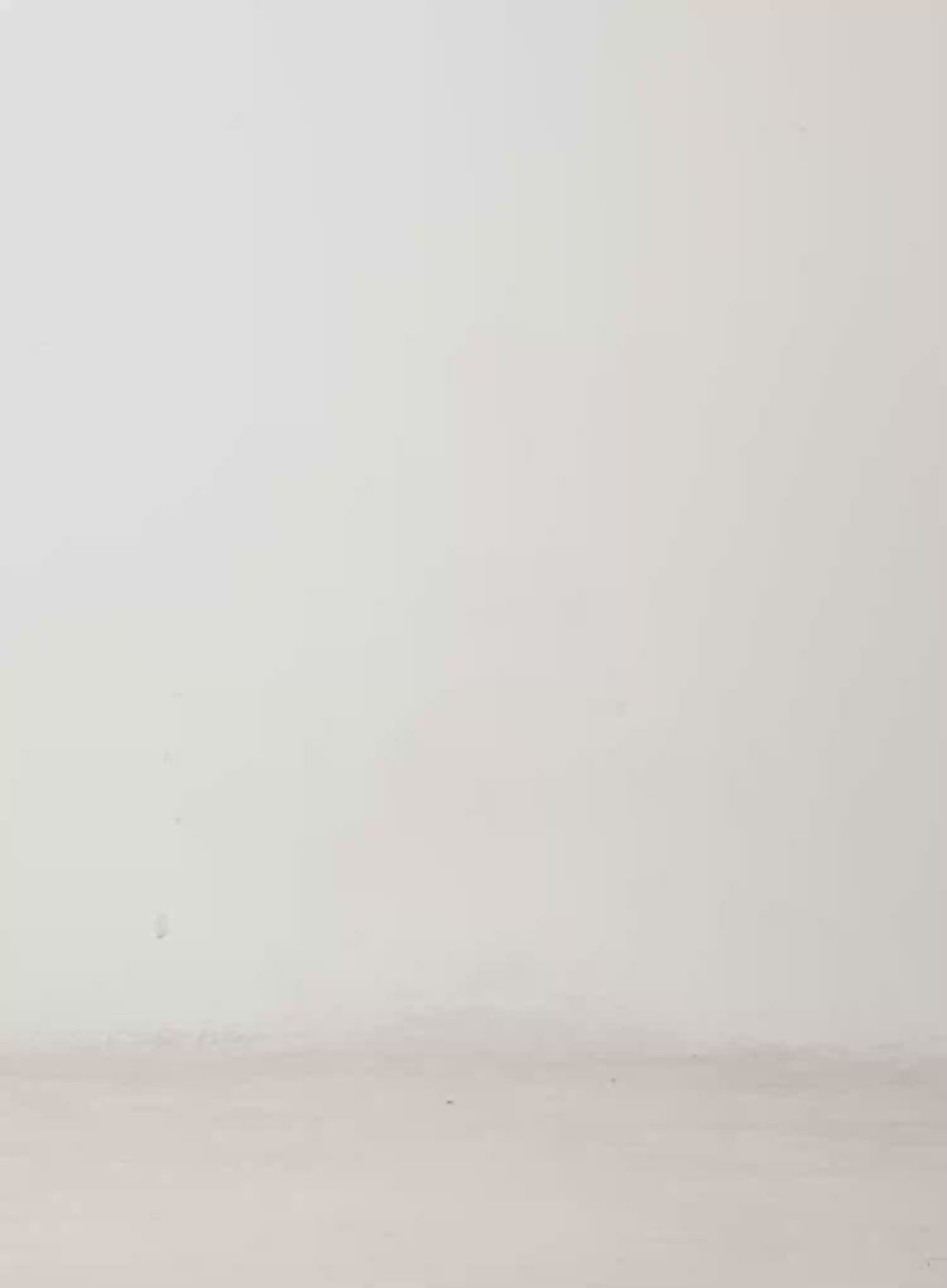 Faux Fur Graphic Fleece Zip-Up Hoodie CD515