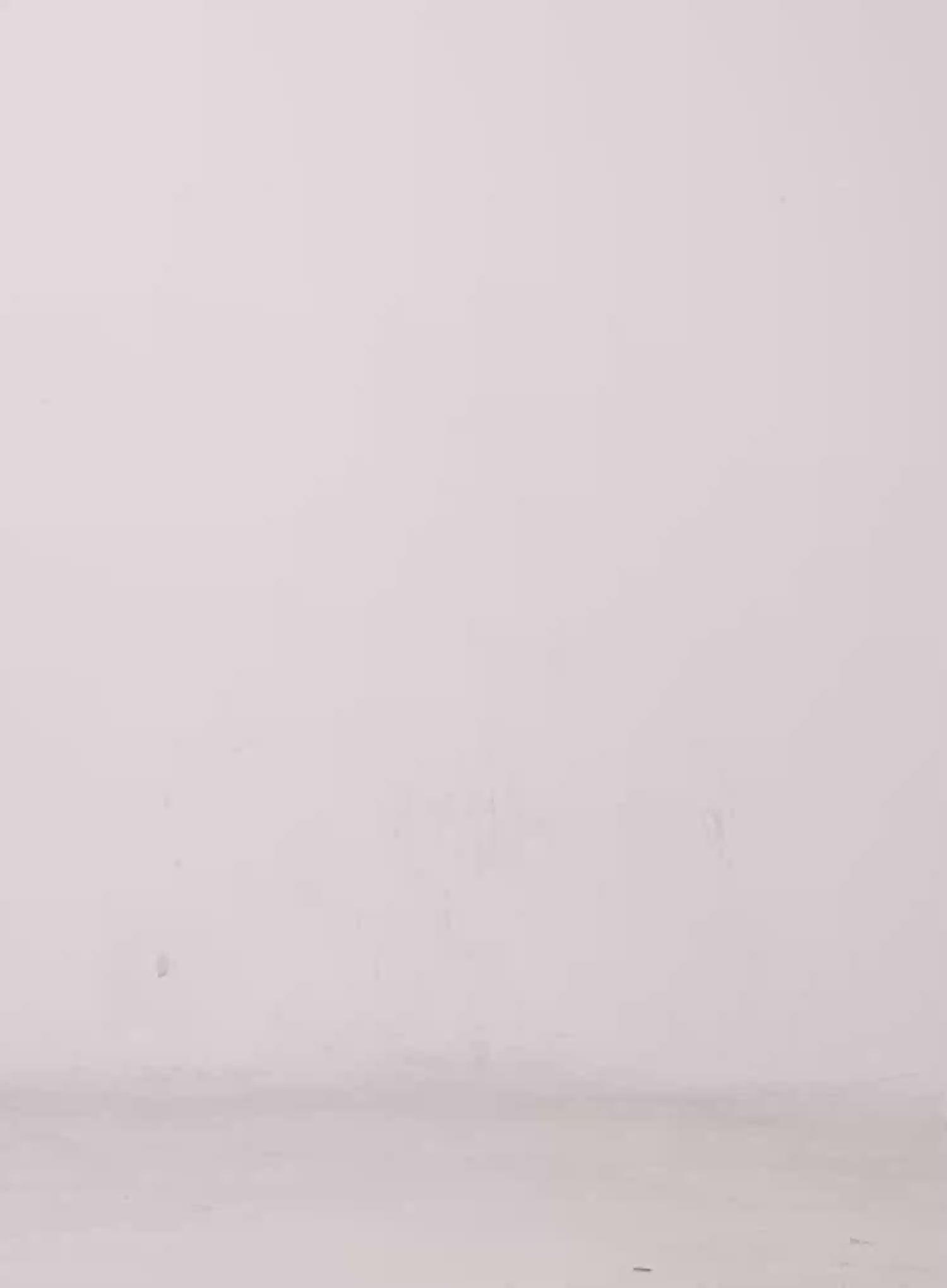 Ruffle Mini Skirt CS529