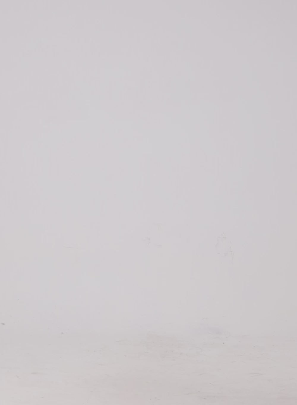 U-Neck Lace Long Sleeve Tee CJ423