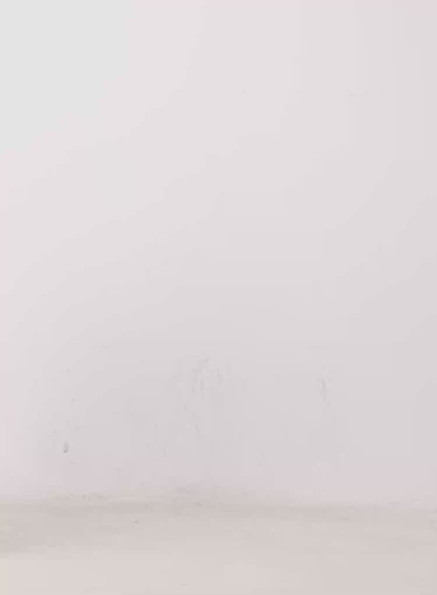 Structured Mini Skirt CO524