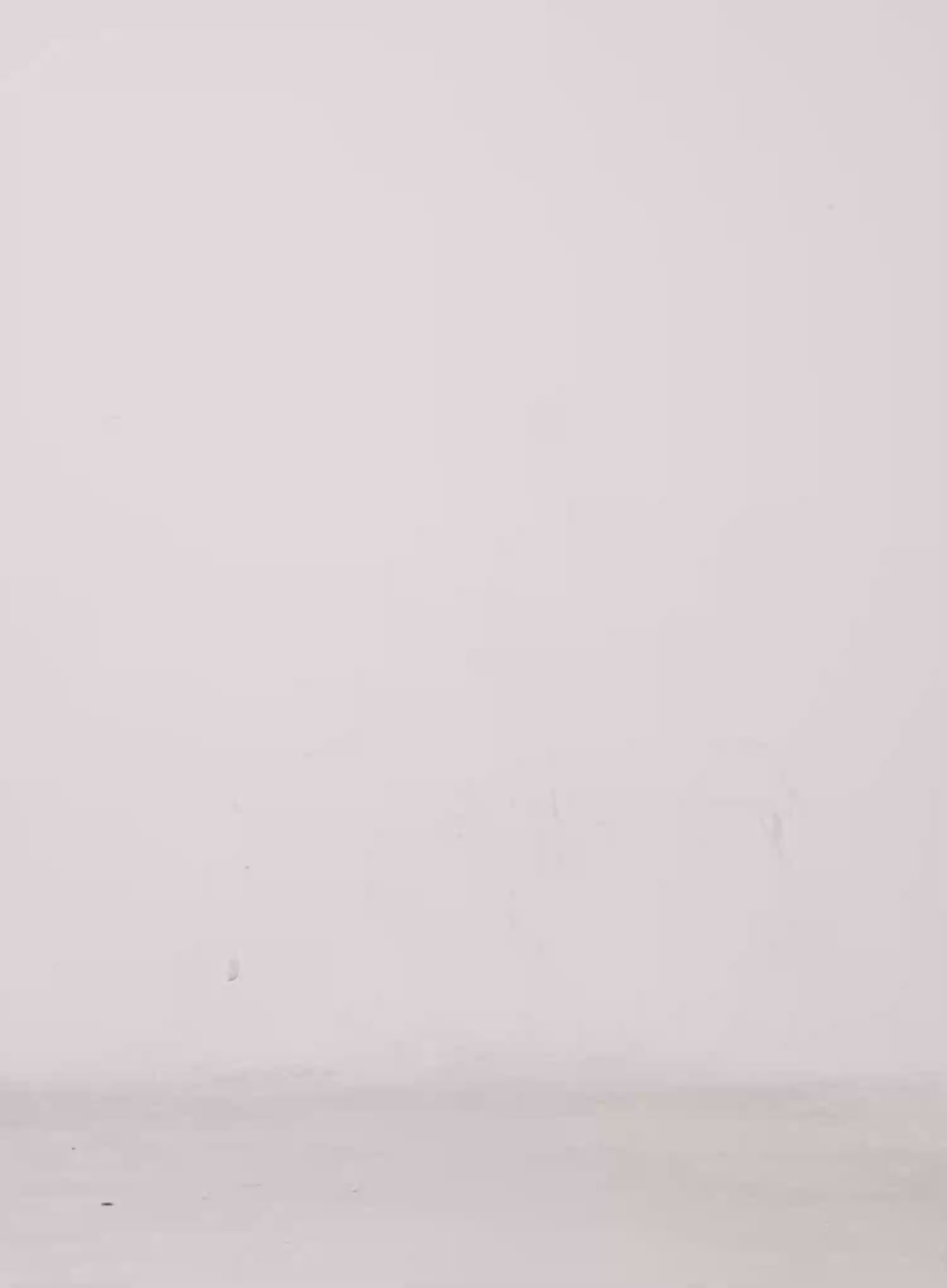 Western Fringe Scarf Strapless Top CS511