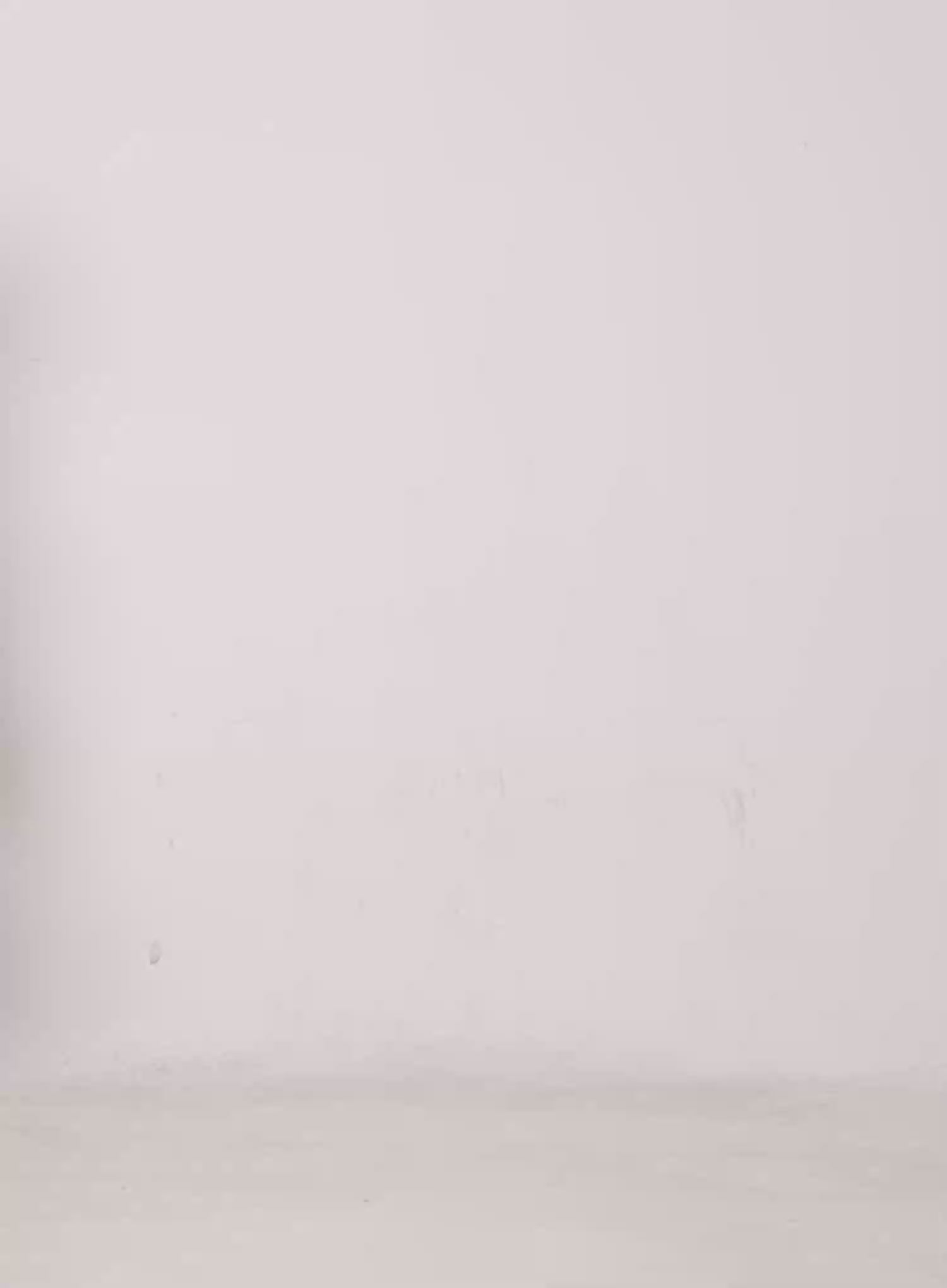 Comfort Fit Wide Sweatpants CG529