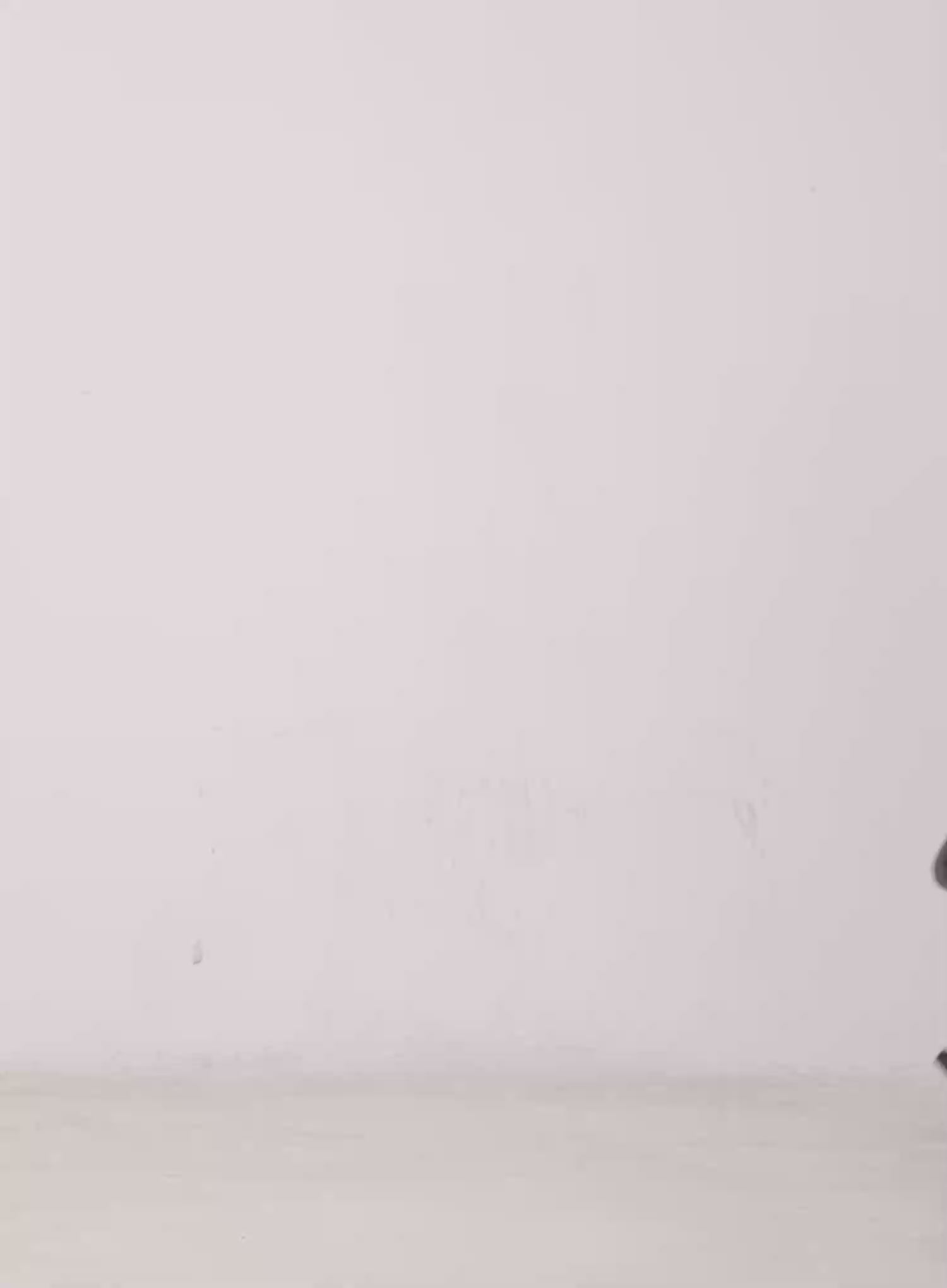 Plaid Collar Layered Long Sleeve Top CG529