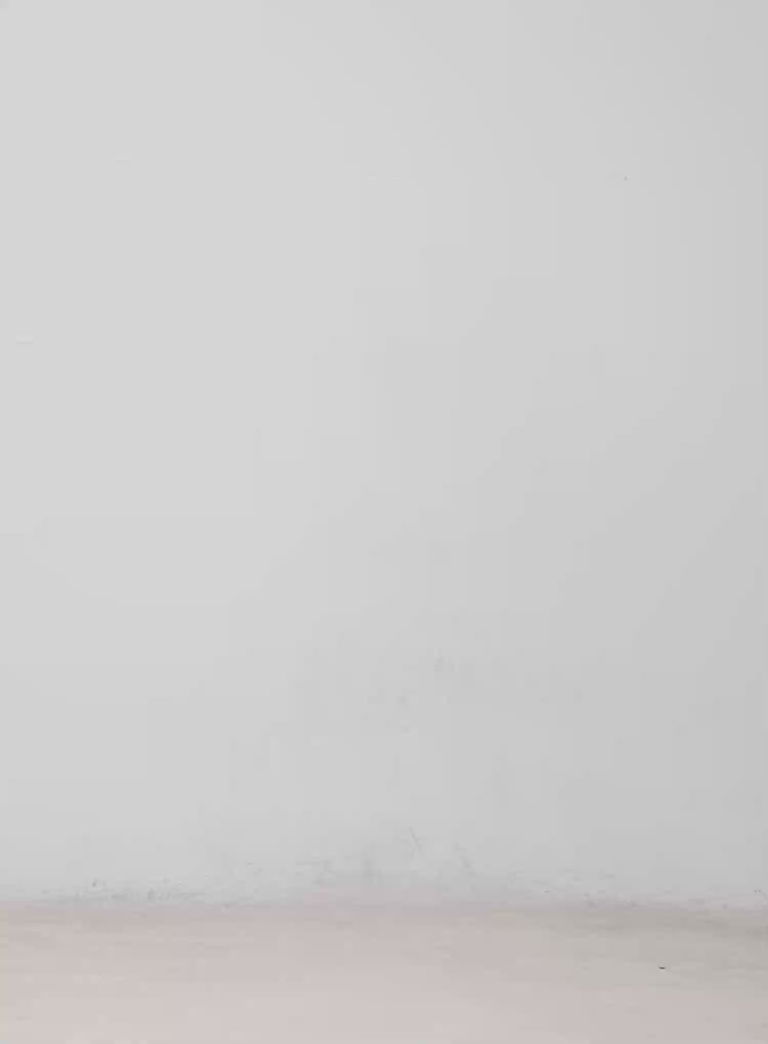 Kate Wide Leg Embroidered Jeans CM513