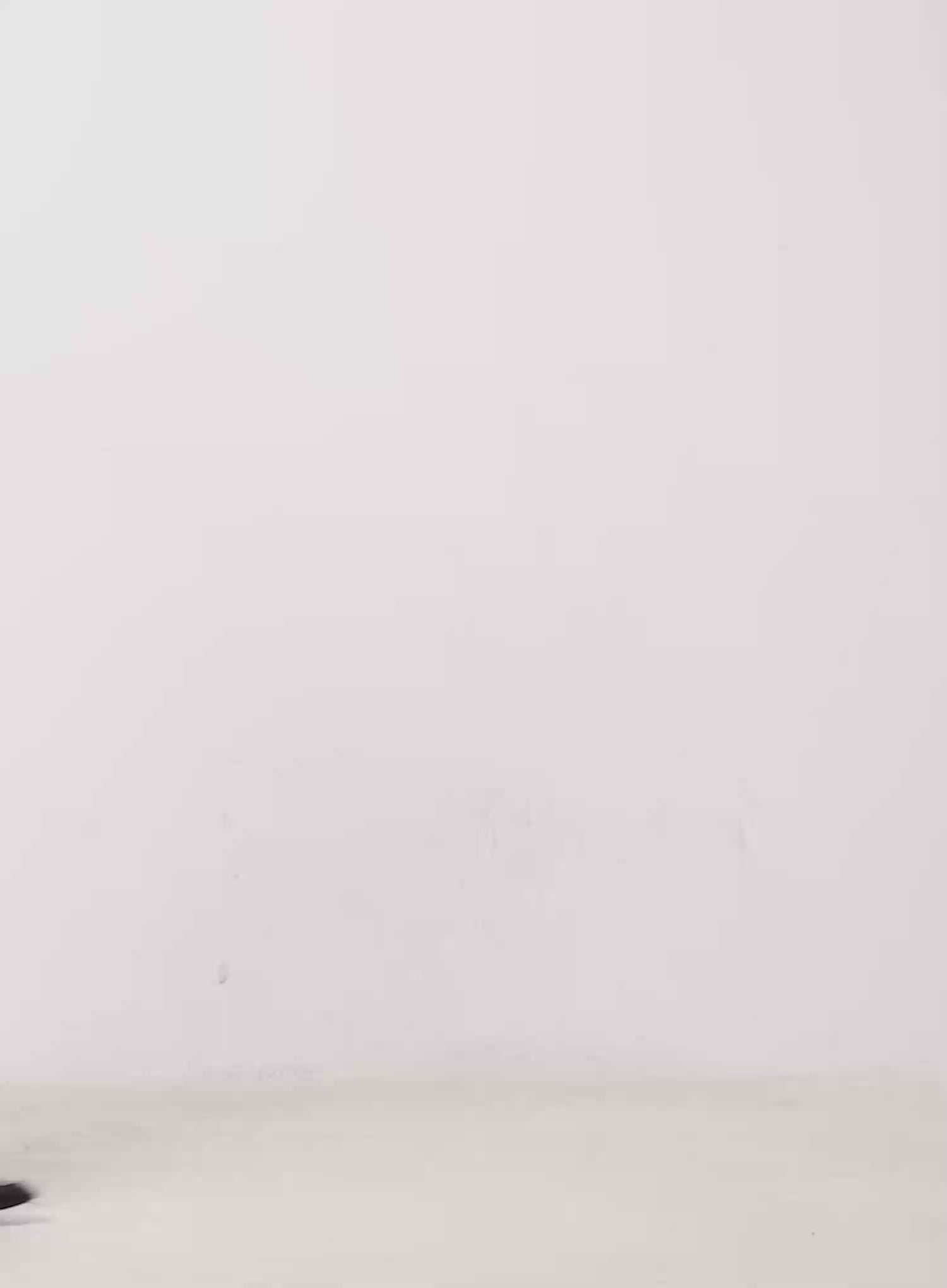 Soft Round Neck Knit Top IJ508