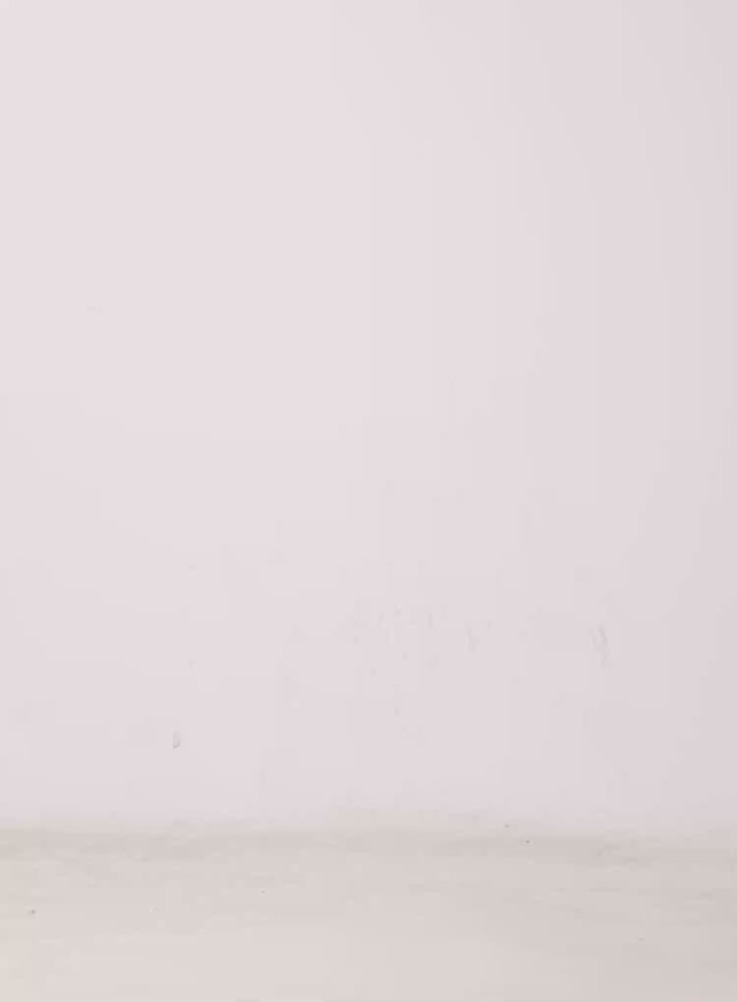 Basic Halter Tank CG501