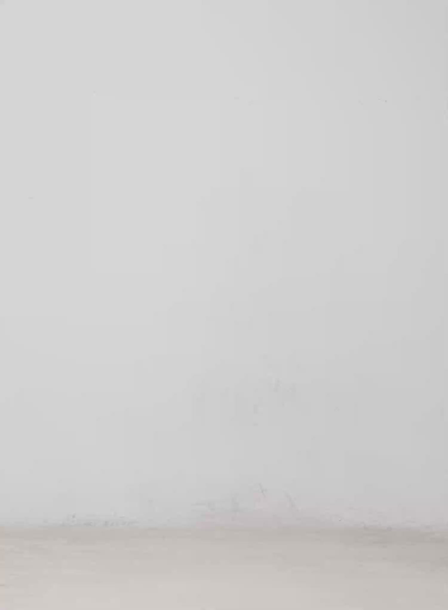 Essential Long Sleeve Cardigan CM513