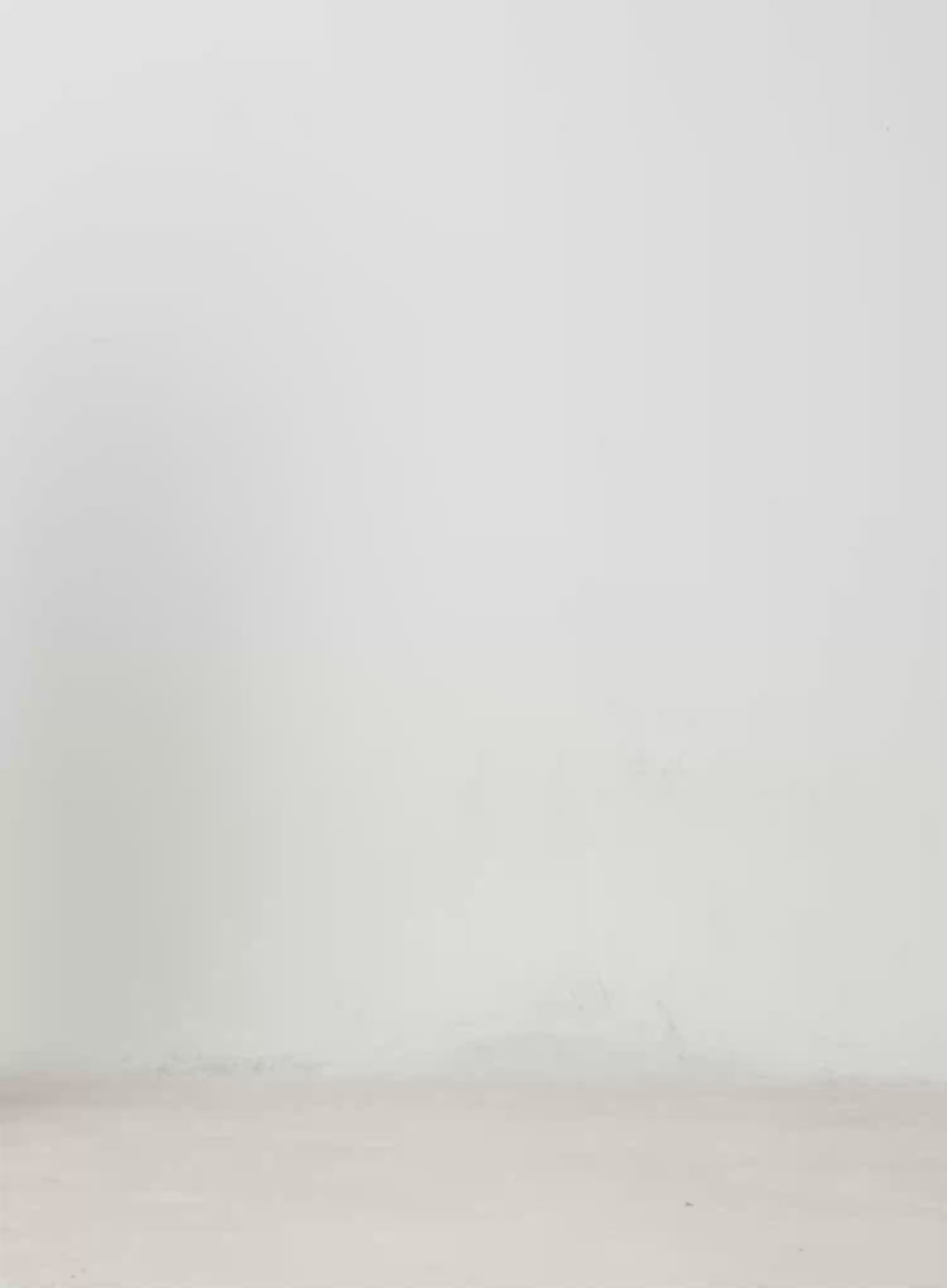 High-Waist Wide-Leg Pants IM513