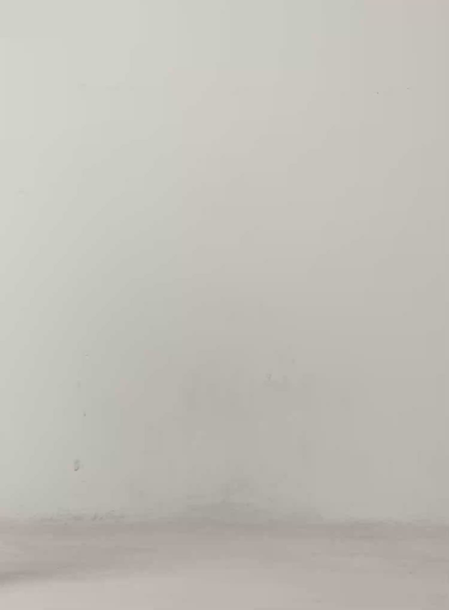 Pleated Tennis Mini Skirt IJ529