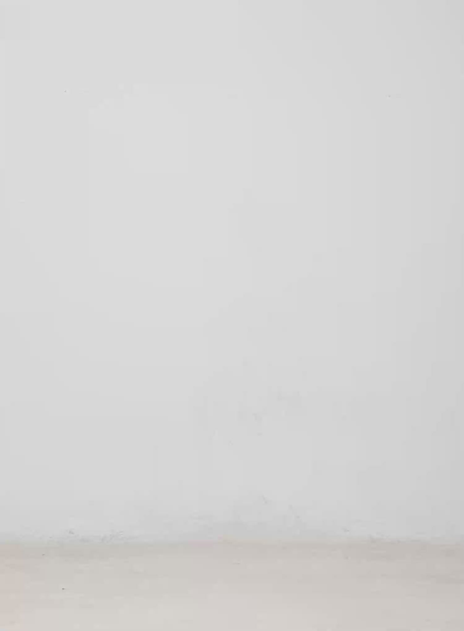 Stitched Cargo Wide-Leg Pants CM526