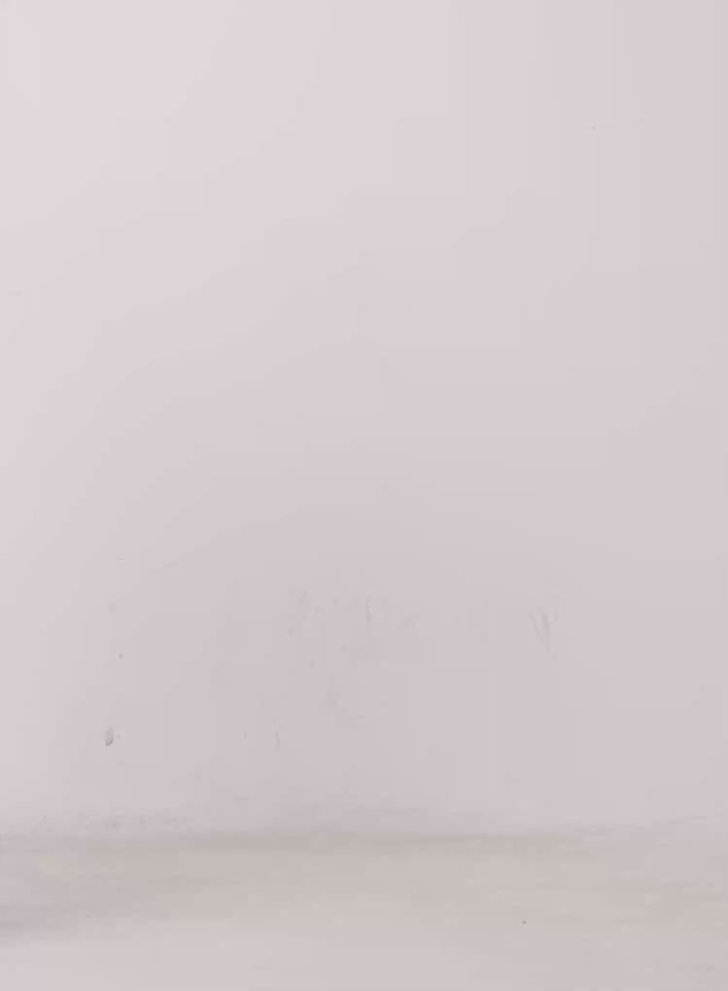 Side Cut Slim Long Sleeve top CS523