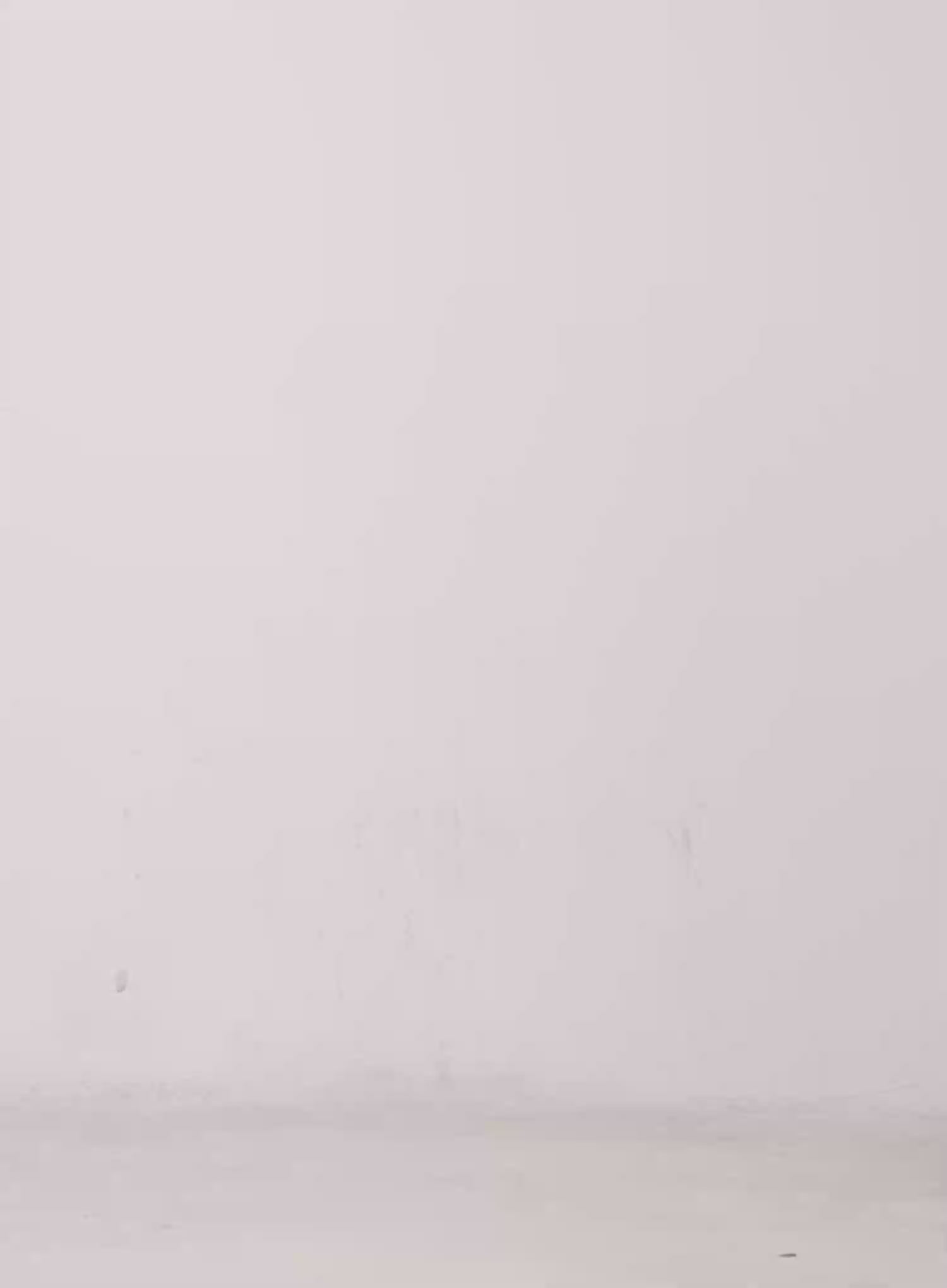 Striped Polo Long Sleeve Shirt CS526