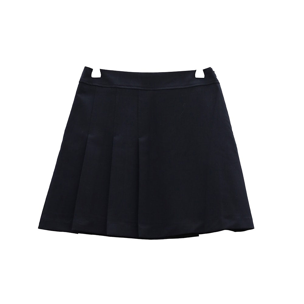 Damier Pleated Skirt - Ready-to-Wear 1A99W6