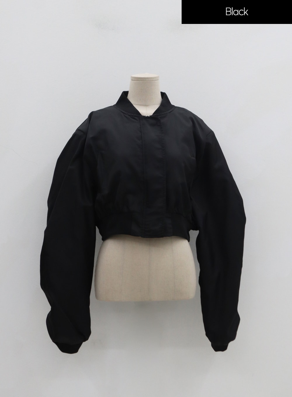 Plus Crop Bomber Jacket IN16 - Korean Women's Fashion | LEWKIN