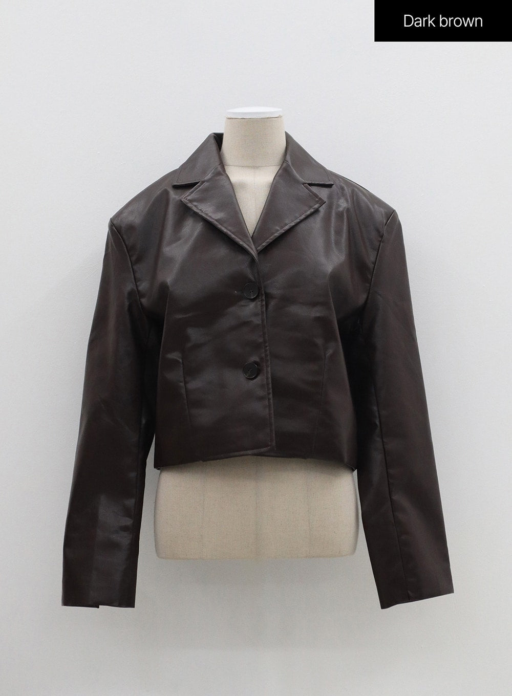 Faux Leather Cropped Jacket OM308