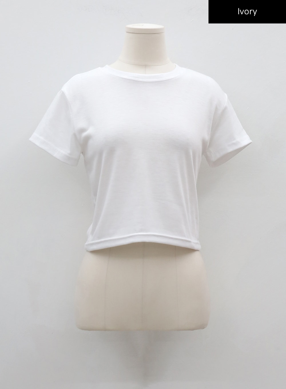Basic Cropped T-Shirt CJ17
