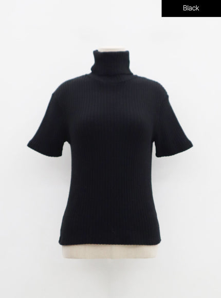 Short Sleeve Knit Turtleneck And Warmer Set OD13